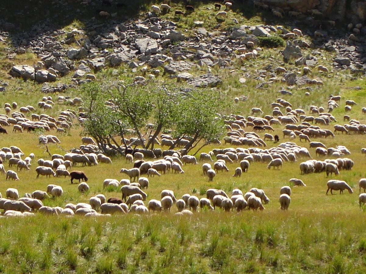 La Petite Etoile D'Hotes En Mercantour Saint-Dalmas-le-Selvage Buitenkant foto