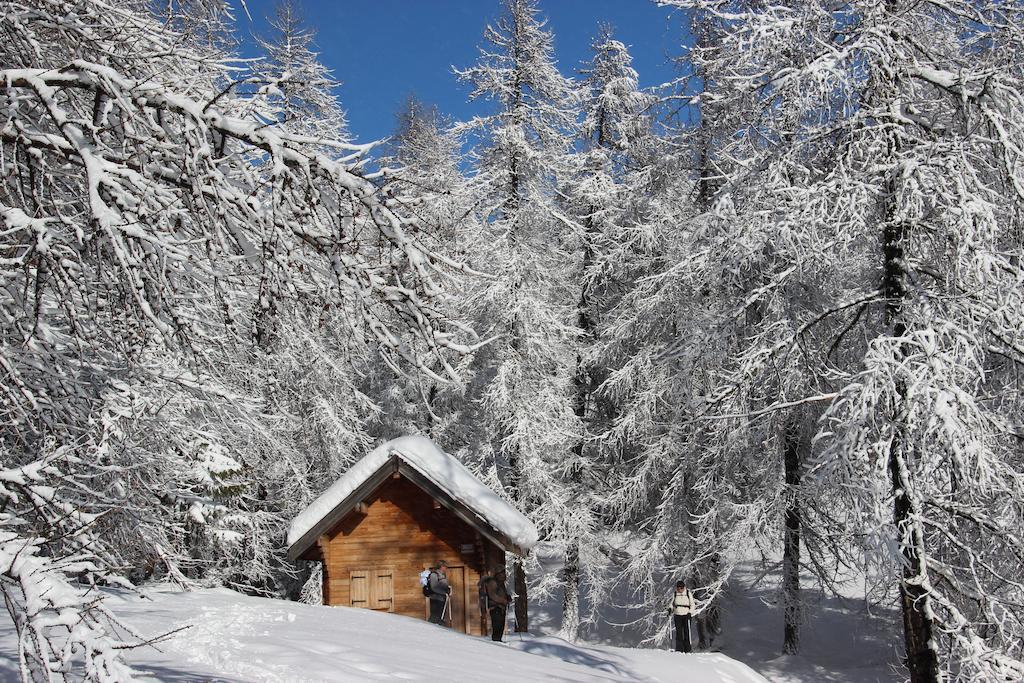 La Petite Etoile D'Hotes En Mercantour Saint-Dalmas-le-Selvage Buitenkant foto