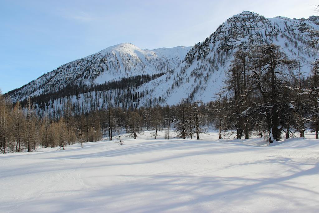 La Petite Etoile D'Hotes En Mercantour Saint-Dalmas-le-Selvage Buitenkant foto